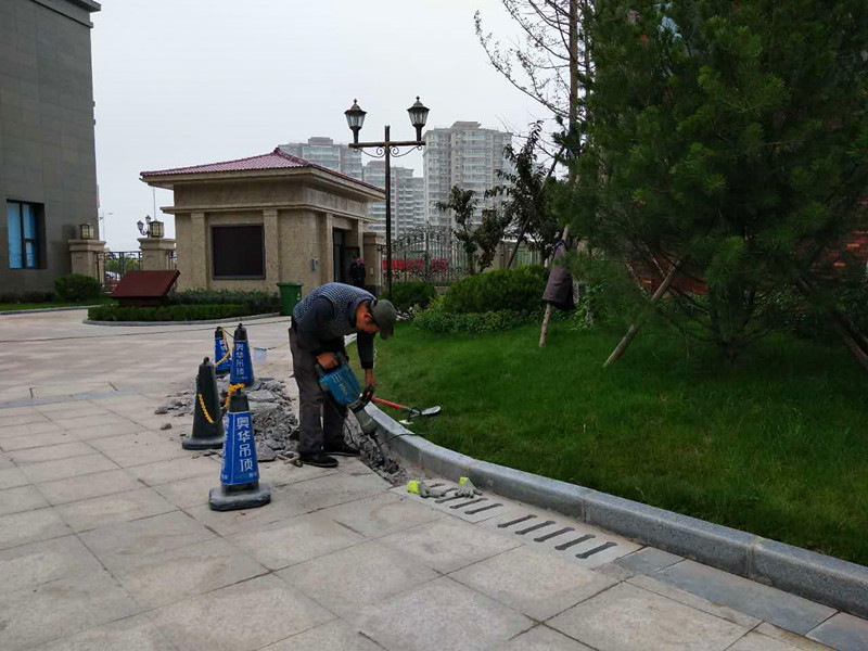 217449937057195320.jpg 217449937057195320.jpg